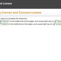 Drop down use menus purpose each complete sentence main according text caste